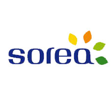 sorea