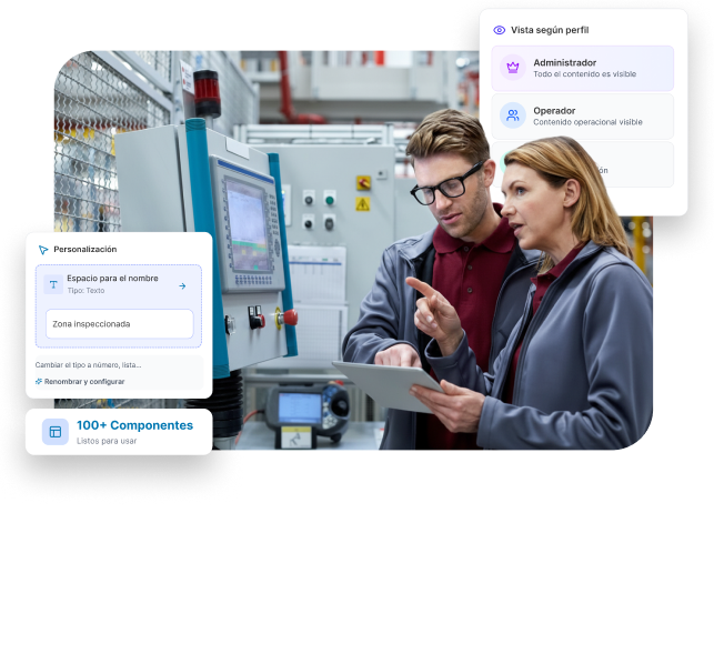 Interfaz de personalización y workflows de Leaneo